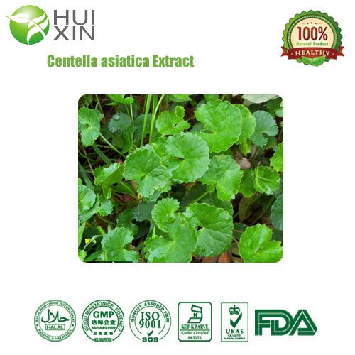 Centella asiatica Extract