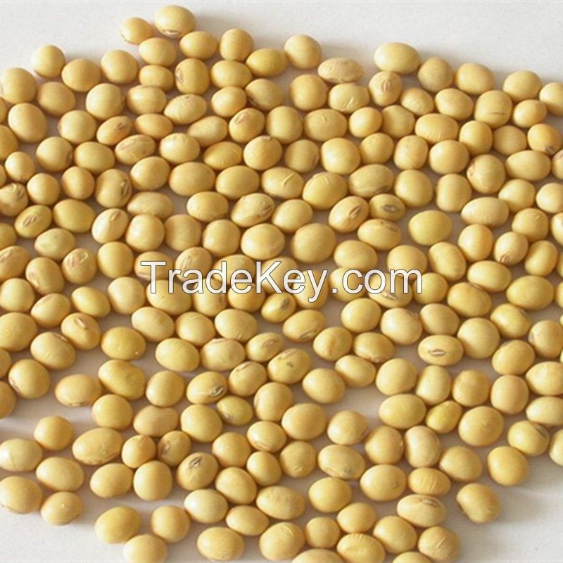 high quality bulk soybean seed