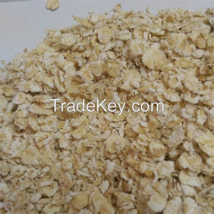Europe organic instant oat flakes for sale best price and best quality
