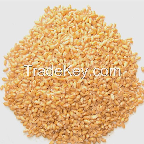 soft milling wheat used for flour milling