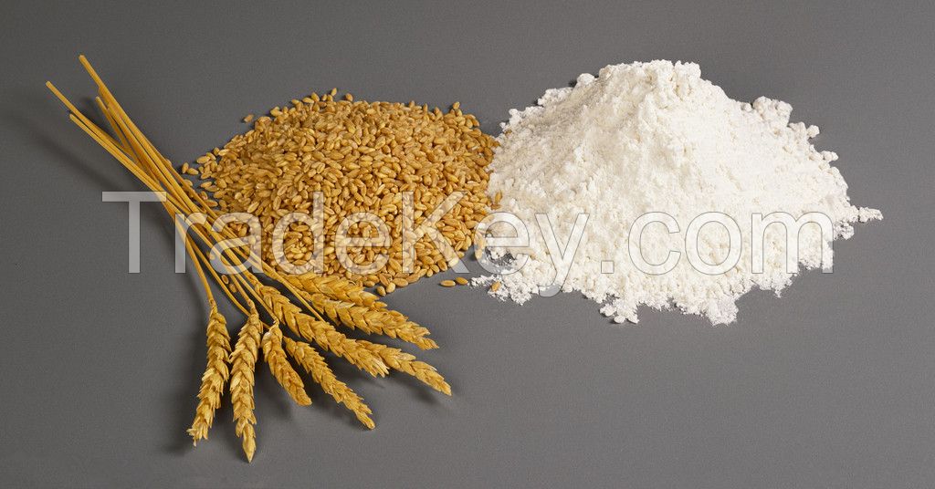 bakery flour, all purpose wheat flour for cake, bread, sweets