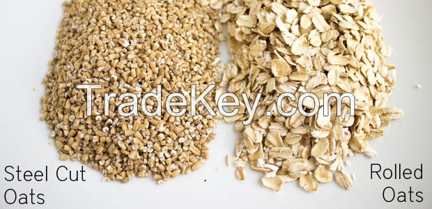 oats with Food factory companies used quality,instant oats,raw oats,rolled oats