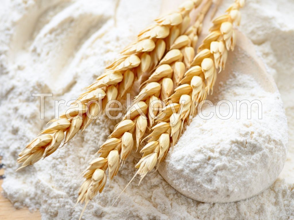 1st Grade Ukrain/Russia/Turkey  high quality wheat flour for bakery