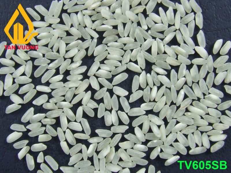 5% Broken Short Grain White Rice