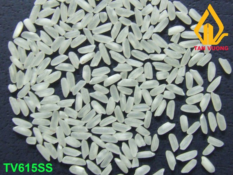 15% Broken Short Grain White Rice