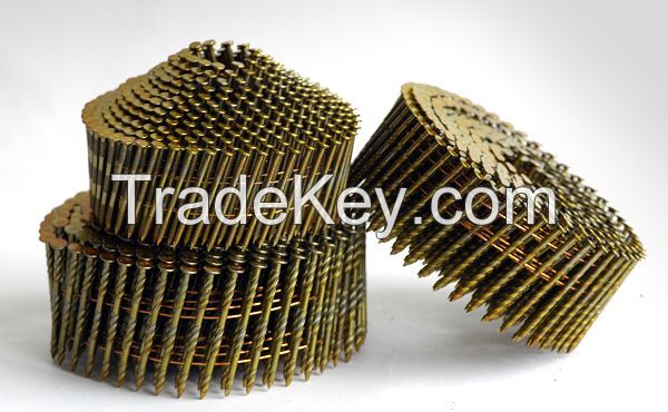 Hot Dip Galvanized Screw Shank Coil Siding Nails Factory Supply
