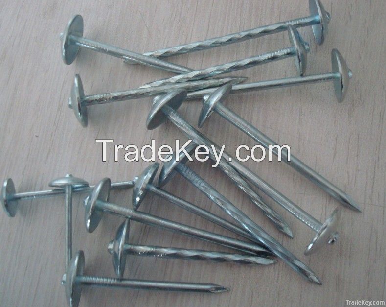 Mushroom Head Roofing Nails With Twisted Shank