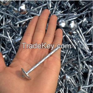 Mushroom Head Roofing Nails With Twisted Shank
