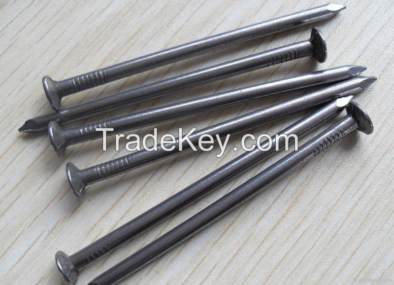 Electro Galvanized Common Wire Nail/Common Iron Wire Nails/Bright Common Nails