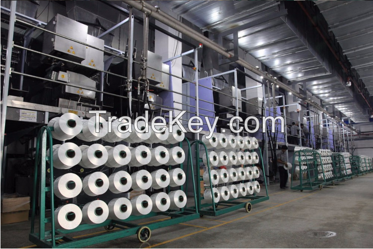 High Tenacity Polyester Industrial Yarn