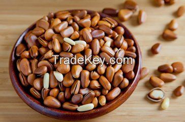 Hot sale pine nuts factory price