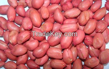 Blanched Peanut Kernels