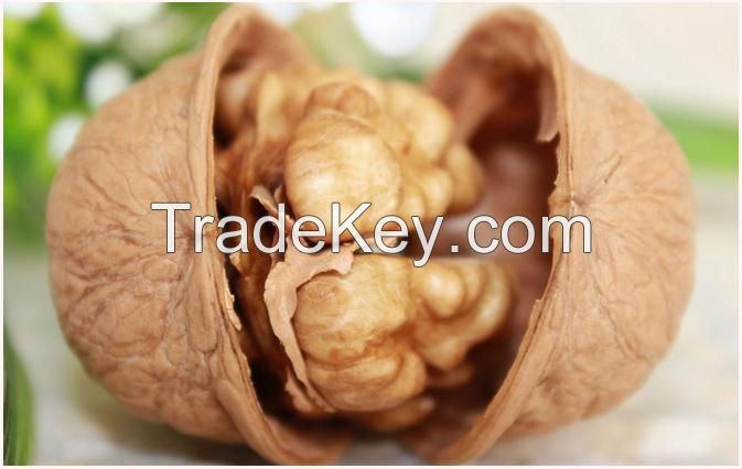 Walnut In High Quality From China