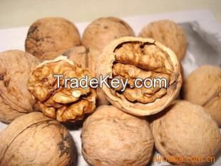 High Quality Shelled Walnut Xinjiang Supply