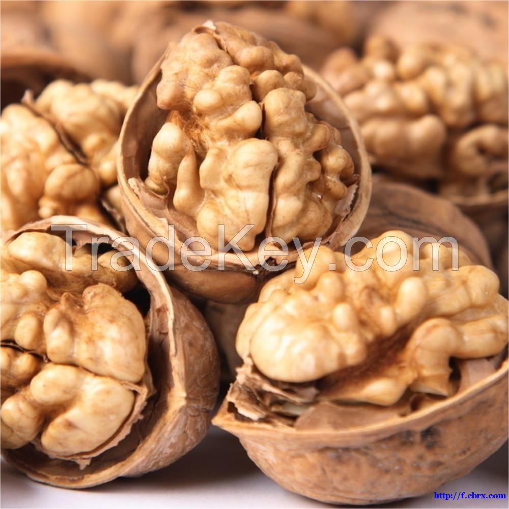 Walnut In High Quality From China