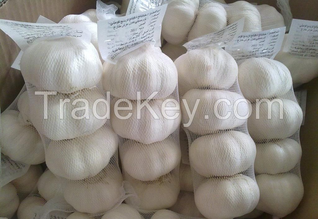 Fresh Garlic Natural Pure White Garlic/Dried Garlic