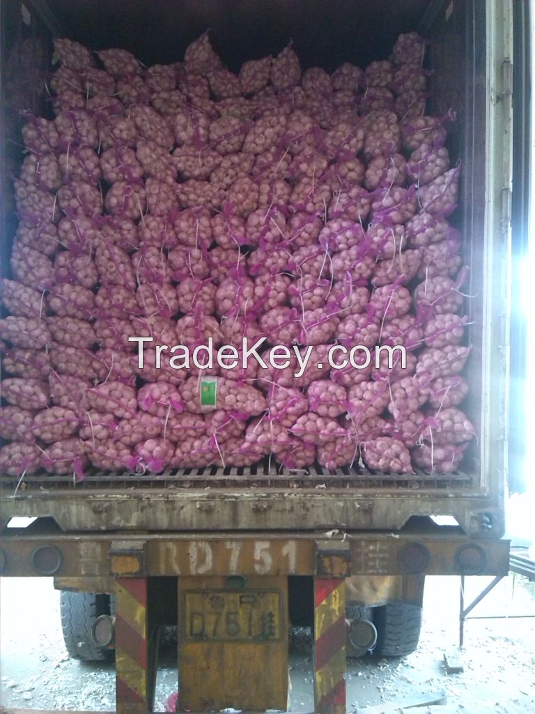 Wholesale Grade A White Fresh Garlic