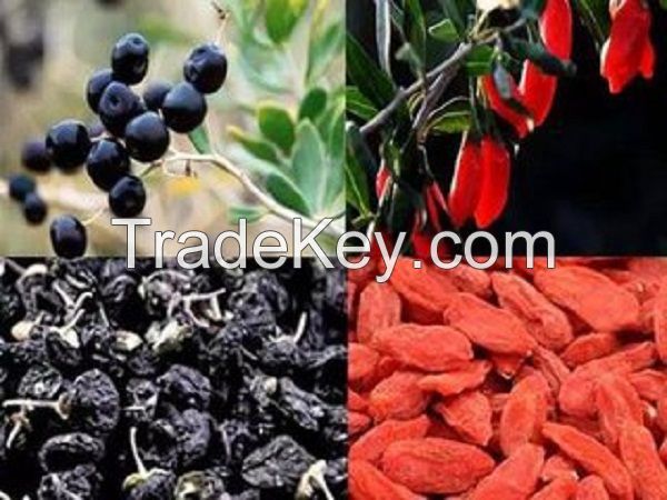 Hot sale best quality the goji