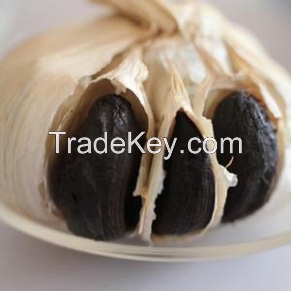 Fresh Garlic,Black Garlic