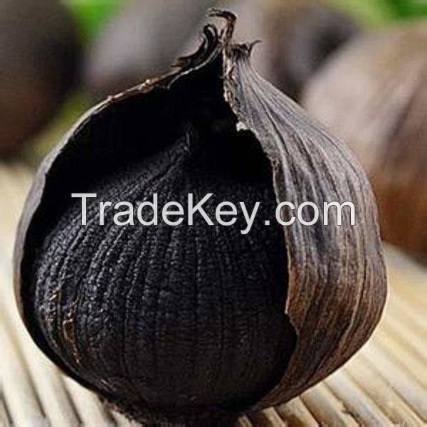 Fresh Garlic,Black Garlic