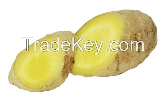 Hot sale ginger,high quality fresh ginger,fresh ginger,dry ginger