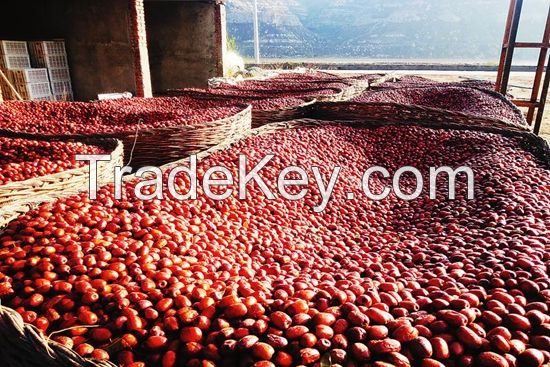 Sweet and Pure Red Date Red Jujube From China