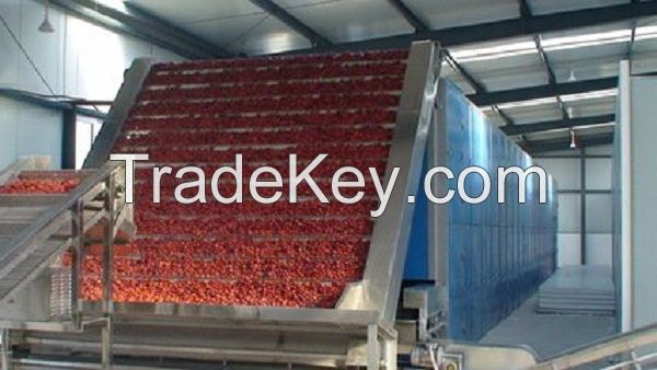 supply bulk 100%natural organic Red Jujube