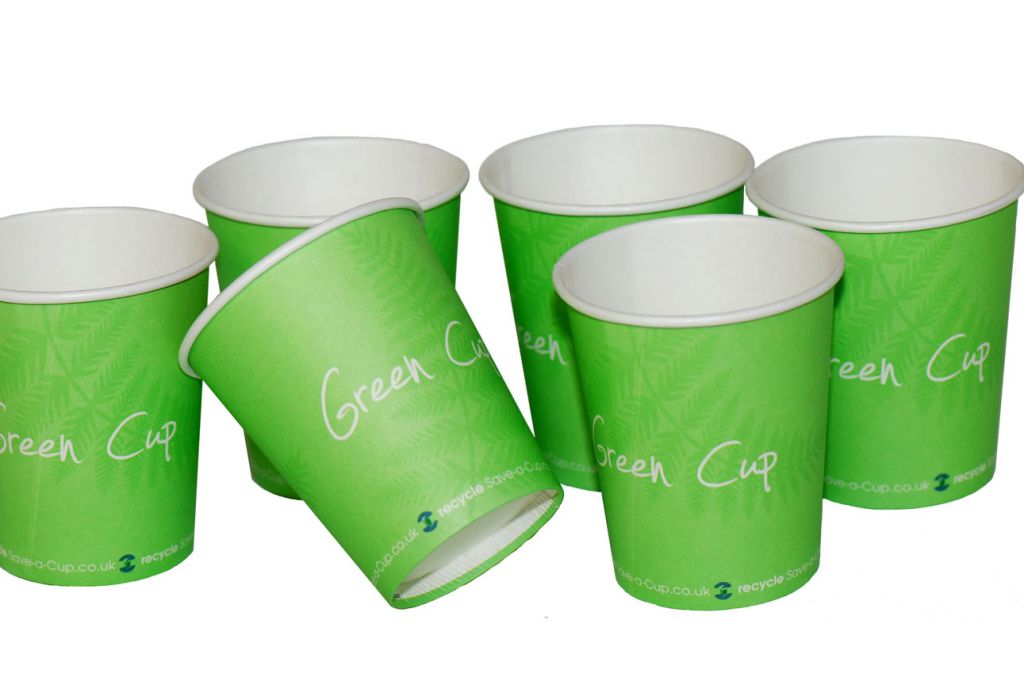 biodegradable disposable tableware