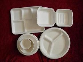 biodegradable disposable tableware