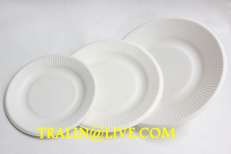 biodegradable disposable tableware