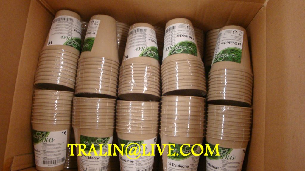 biodegradable disposable tableware