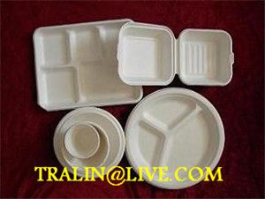 biodegradable disposable tableware 