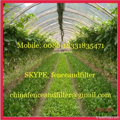 Plastic insect screen used in greenhouse