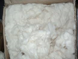 Cotton Waste from Bangladesh