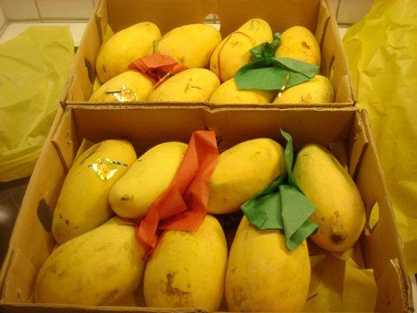 fresh mangoes