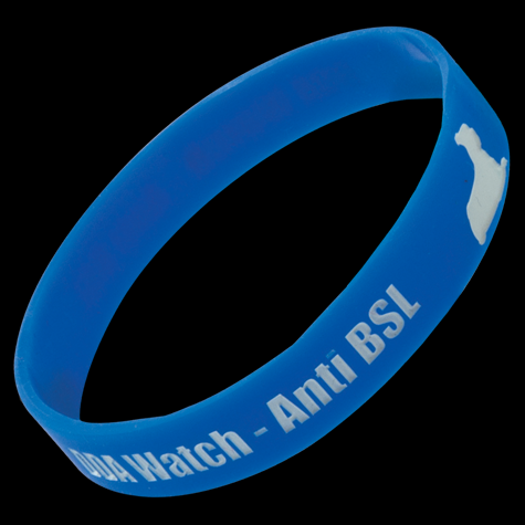 high quality promotional custom silicone bracelet/wristband