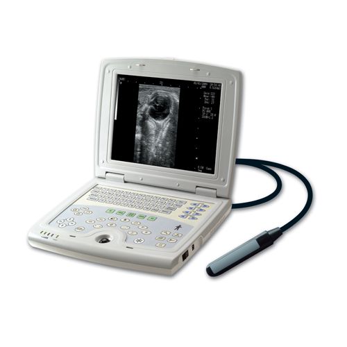 Veterinary laptop ultrasound scanner