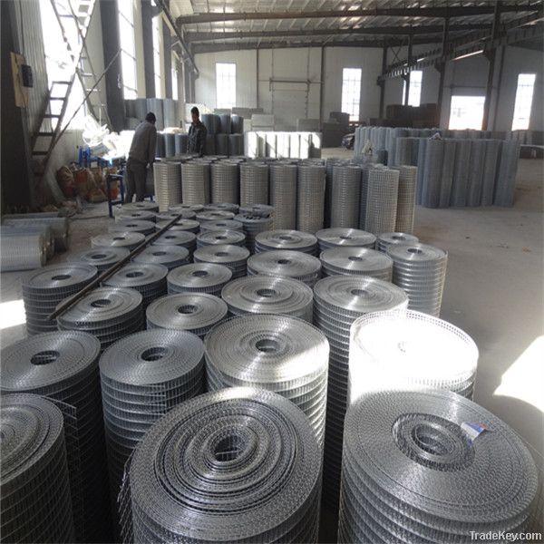 galvnized wire mesh