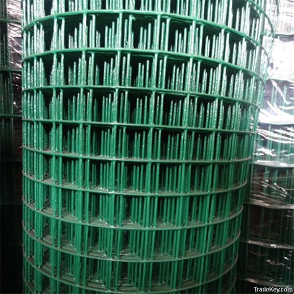 hebei professional PVC coated wire mesh with high quality