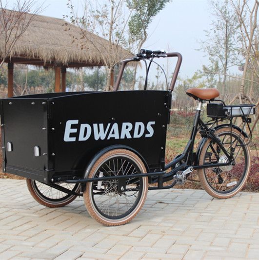 Electric Cargo Trikes tricycle pedicab electric trike with rain cover