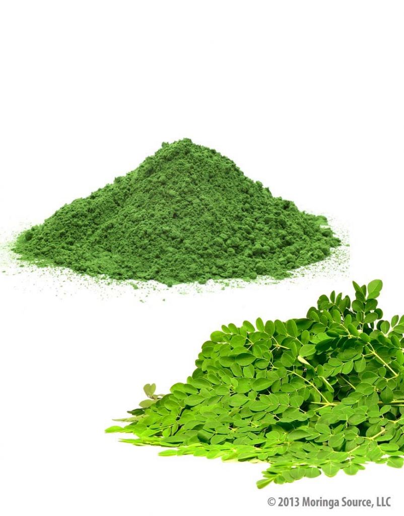Moringa Oliefera dry leaf powder