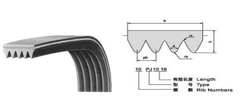 Ribbed belts (4PK/5PK/8PK/10PK)