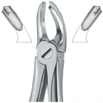 Excellent quality Extracting Forceps