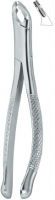 Excellent quality Extracting Forceps