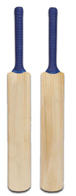 cricket bat