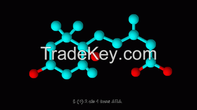S-(+)-Abscisic Acid