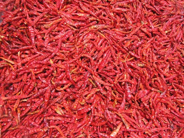 Dried Red Chilli