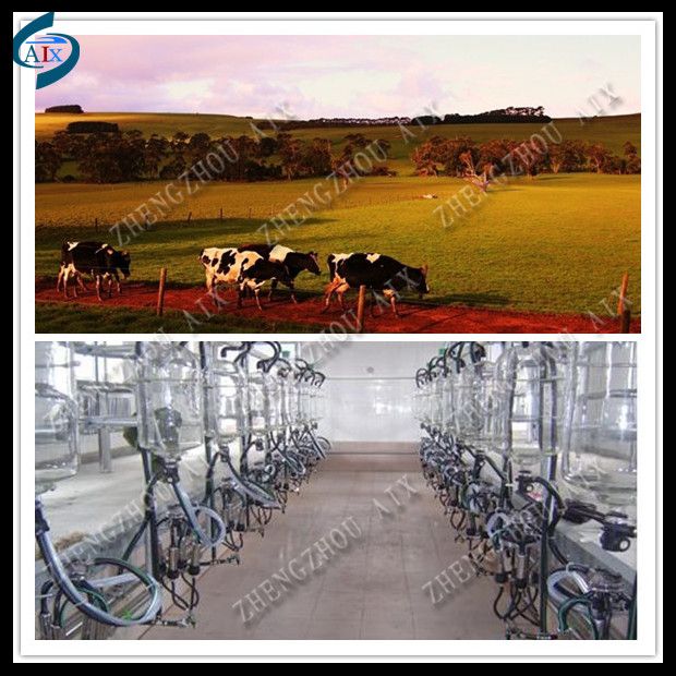 dairy farm milking equipment milking parlor for goat and cow