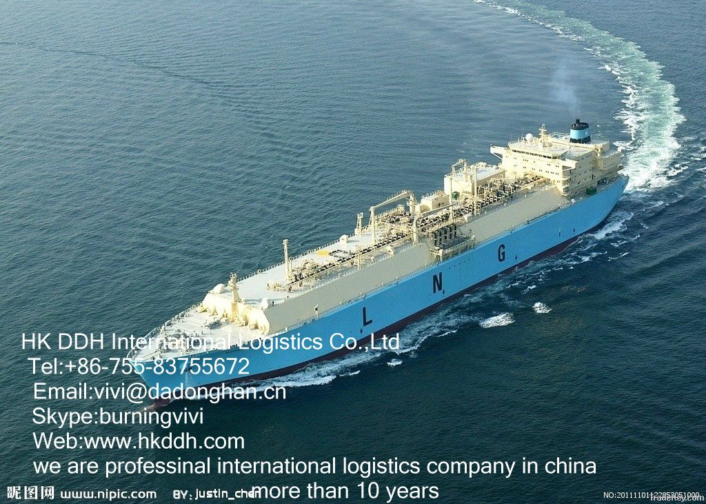 Sea Freight Shenzhen To karachi