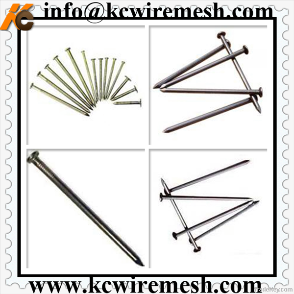 Polish&amp;galvanized common nail/iron nail for construction, woodworking .